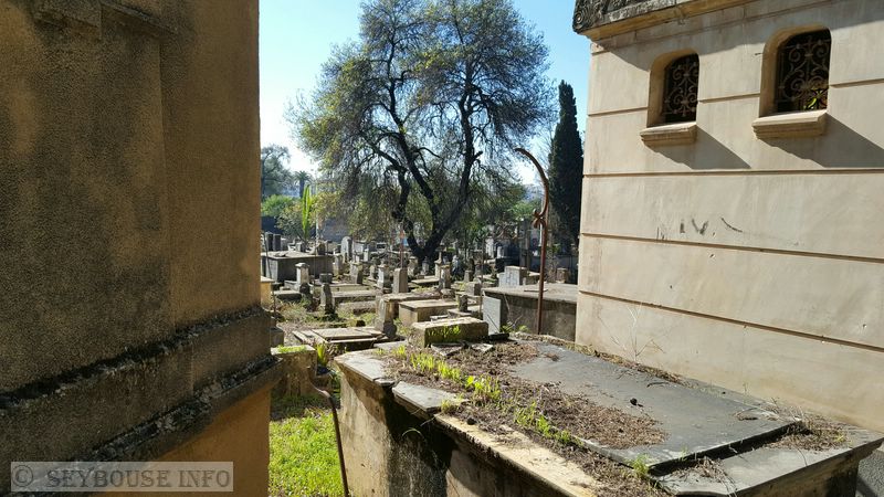 Photo M. Mounir Han�che